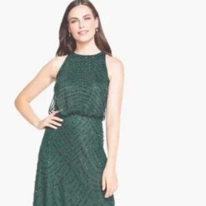 Greed Beaded Adrianna Papell gown size 14